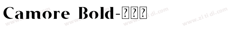 Camore Bold字体转换